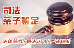 北海司法亲子鉴定咨询预约，北海权威司法亲子鉴定机构