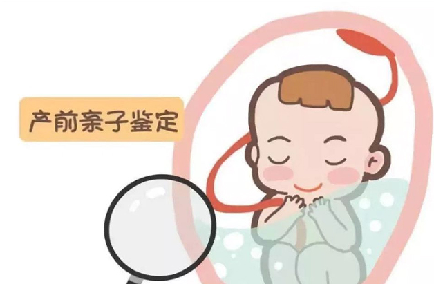 北海胎儿如何偷偷做亲子鉴定,北海产前亲子鉴定准不准确